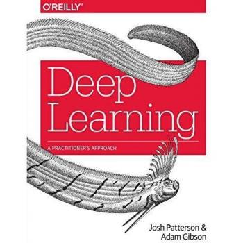 Deep Learning: A Practitioner's Approach