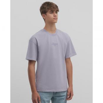 Camiseta Silbon Special Fit Gris para Hombre