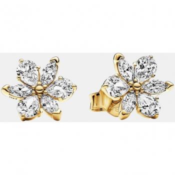 Pendientes Pandora Timeless Herbario 262633C01