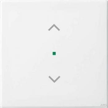 Wippe eléctrica 1-fach con símbolo de Jalousie Busch-Jaeger 6232-10-914, color alpinweiß, compatible con Busch-free@home