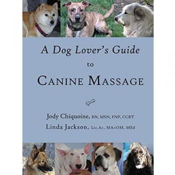 A Dog Lover's Guide to Canine Massage