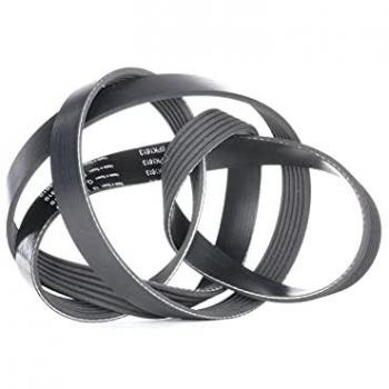 Correa trapecial poli V INA FB 6PK1613