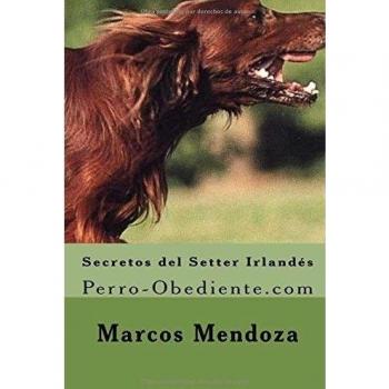 Secretos del Setter Irlandes: Perro-Obediente.com
