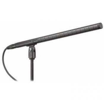 Audio-Technica BP4071 Line + Gradient Condenser Microphone, 15.55 Long