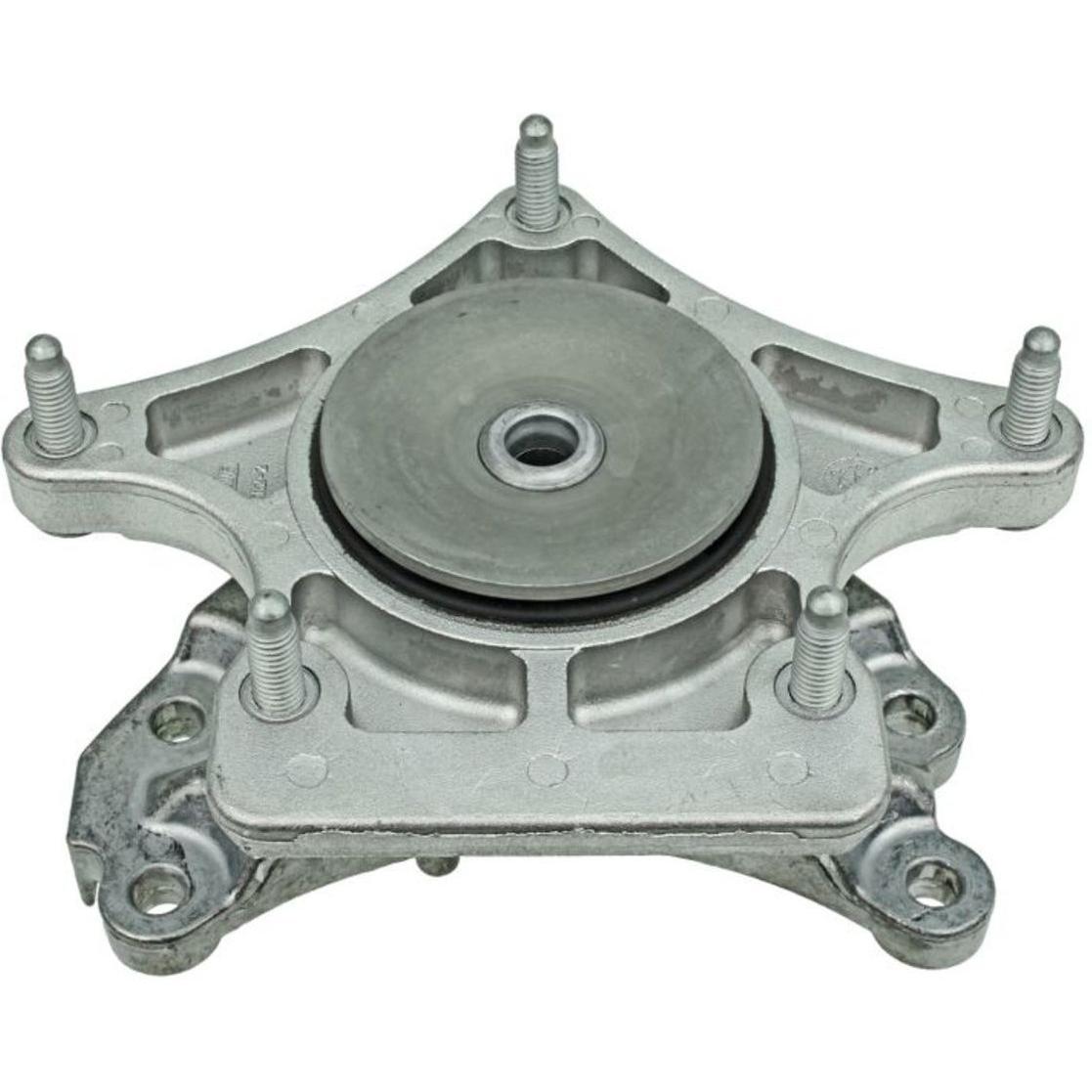 Imagen Principal