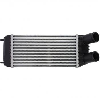 Intercooler THERMOTEC DAP006TT para FIAT Scudo (270, 272_)