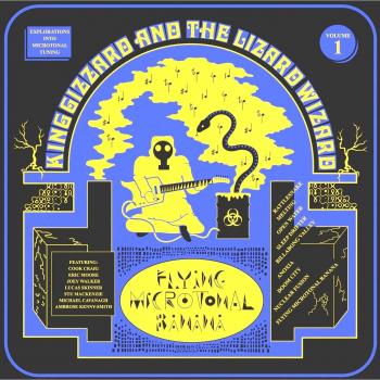 Flying microtonal banana vinilo