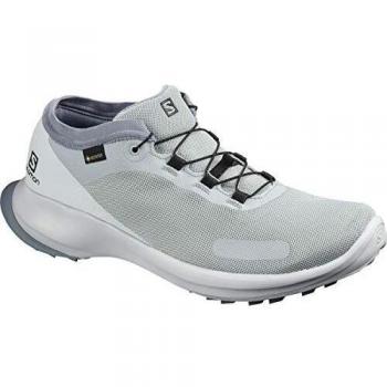 Salomon Sense Feel GTX, Zapatillas para Correr para Hombre, Gris