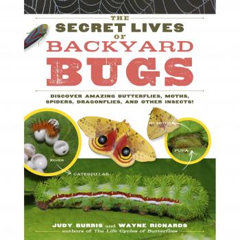 Secret Lives Of Backyard Bugs, The