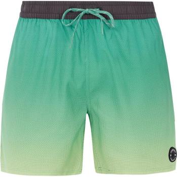Bañador de Hombre Protest Prterin Corto Ligero Verde Frosty Talla S
