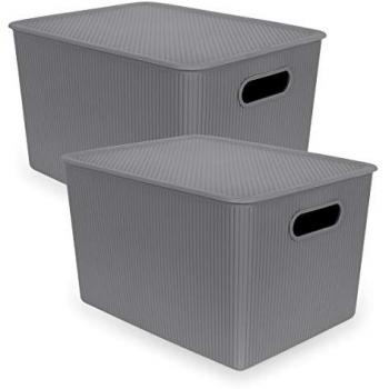Set de 2 Cajas Organizadoras Baobab 22L con Tapa en Plástico PP05 - Gris Antracita