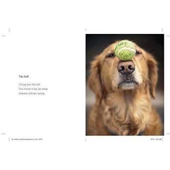 What I Lick Before Your Face: And Other Haikus by Dogs