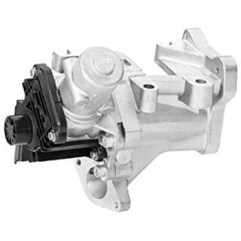 Válvula EGR Hella 6NU 010 171-231
