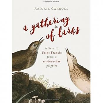 A Gathering of Larks: Letters to Saint Francis from a Modern-Day Pilgrim