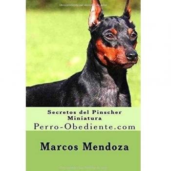 Secretos del Pinscher Miniatura: Perro-Obediente.com