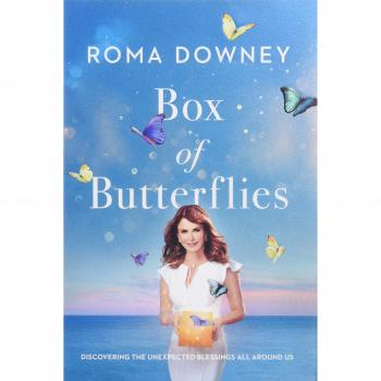 Box of Butterflies: Discovering the Unexpected Blessings All Around Us