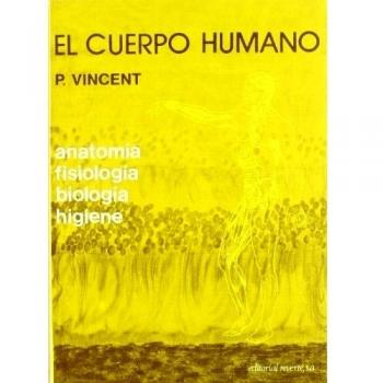 EL CUERPO HUMANO
