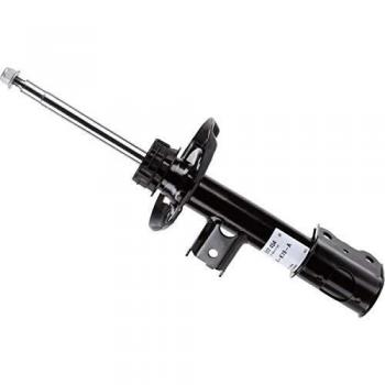 SACHS 317454