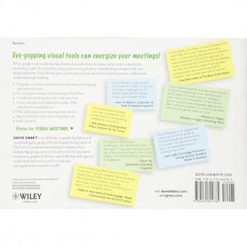 Visual Meetings: How Graphics, Sticky Notes and Idea Mapping Can Transform Group Productivity