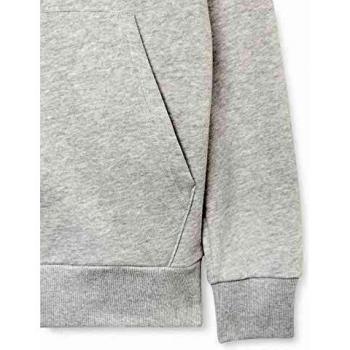 Sudadera con capucha Under Armour Rival Big Logo para hombre