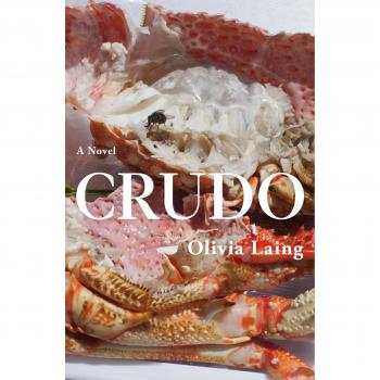 Amor en el Apocalipsis: Olivia Laing - Edición Crudo