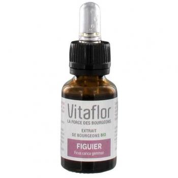 Extracto de Brotes Orgánicos de Higuera 15 ml