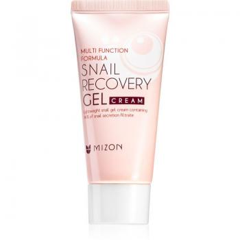 Mizon Multi Function Formula Snail Facial Gel 45 ml