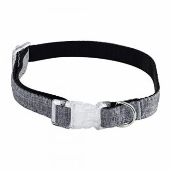 Collar de paseo Hearts & Homies Talla M, Sin Tipo de Material, Multicolor, Estándar