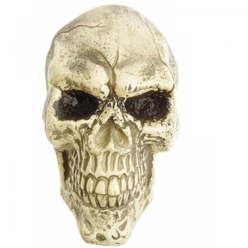 Calavera de 25 cm para Colgar en la Pared