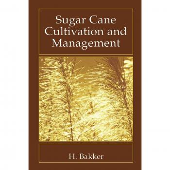 Sugar Cane Farming and Care Guide