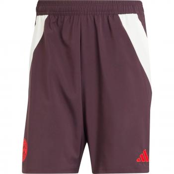 Shorts de entrenamiento FC Bayern München 2024/25 - Burdeos