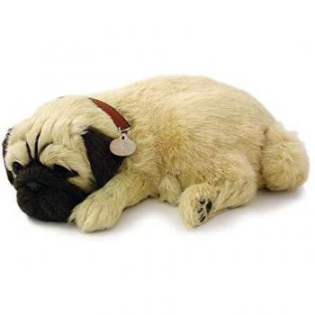 Plenty Gifts 96194 Petzzz Soft Pug, Pluche, Universal, Talla Única