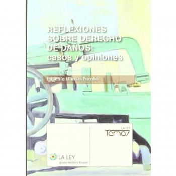 Reflexiones sobre Derecho de daños: casos y opiniones
