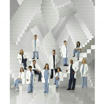 24x29 inch Greys Anatomy Season 10 Silk Poster Seda Cartel CGS2-B97