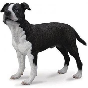 Collecta - American Staffordshire Terrier -L- 88610