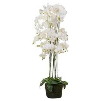 Orquídea de Poliéster Blanca con Maceta 70x70x155 cm - Complemento Perfecto para Decoración