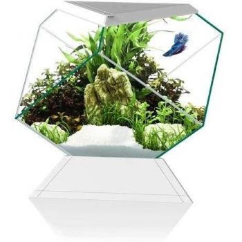 CIANO Aquarium Beta Nexus 5C Blanco