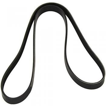 Dayco 6PK1435 Correa Trapecial Poli V