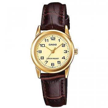 Reloj de Pulsera para Mujer Casio Collection LTP-V001GL-9B con Correa de Piel Marrón y Esfera en Color Champán