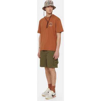 Bermudas Dickies Jackson Cargo Verde Oliva