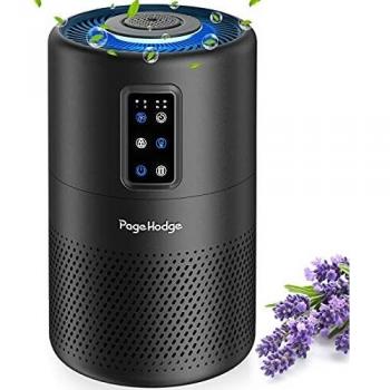Page Hodge Purificador de Aire con Filtro HEPA H13, Elimina 99,97% Alergia Tabaco Polen Ácaros Olor y Caspa de Mascota, Difusor de Aroma Filtración,Modo de Sueño, Temporizador, 100% Sin Ozono