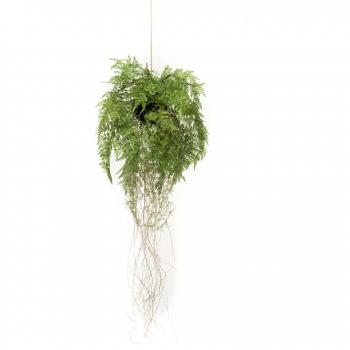 Helecho Colgante Artificial Emerald con Raíces de Plástico, Dimensiones 35 cm y 55 cm