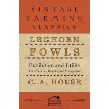 Leghorn Chickens: Exhibition and Utility Breeding Guide