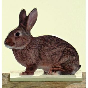 'Expositor conejo Albi 18 cm Pascua - Primavera
