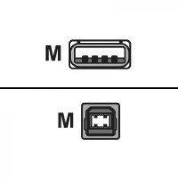 Cable USB 2.0 Sharkoon 4044951015269, 2 metros, USB A a USB B, color negro