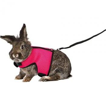 Trixie Soft Harness With Leash For Small Animals, 1.20 Metre Leash - Colour Assorted