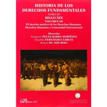 Historia de los derechos fundamentales. Tomo IV. Siglo XX. Volumen V. Cultura de la Paz y grupos vulnerables. Libro II. Grupos vulnerables: 4