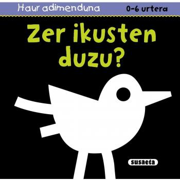 Zer ikusten duzu?