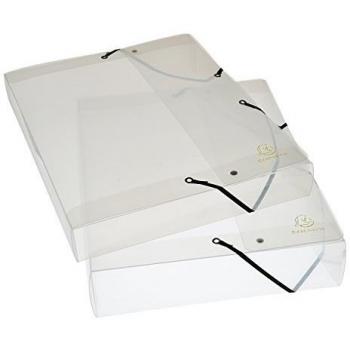Exacompta 5962E - Carpeta de proyecto con goma, transparente