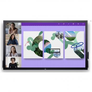 Monitor Táctil Interactivo Dell P6524QT 65 4K LED